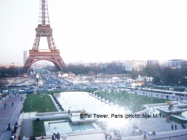Eiffel Tower, Paris (photo:Njei M.T)